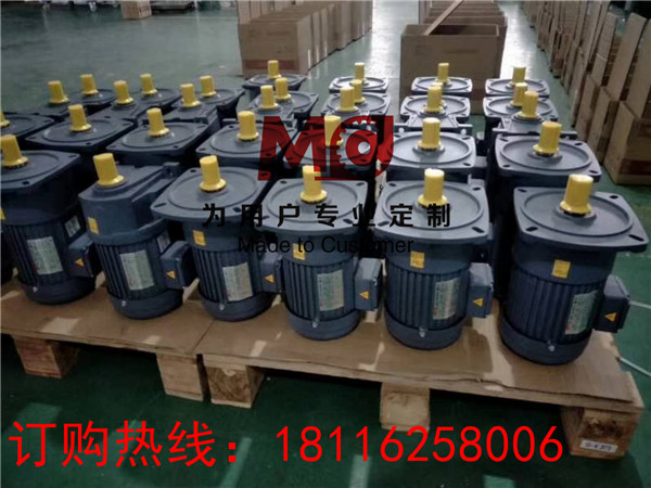 立式齒輪減速馬達.jpg