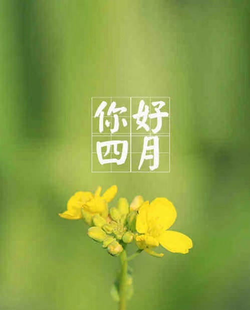四月，你好！.jpg