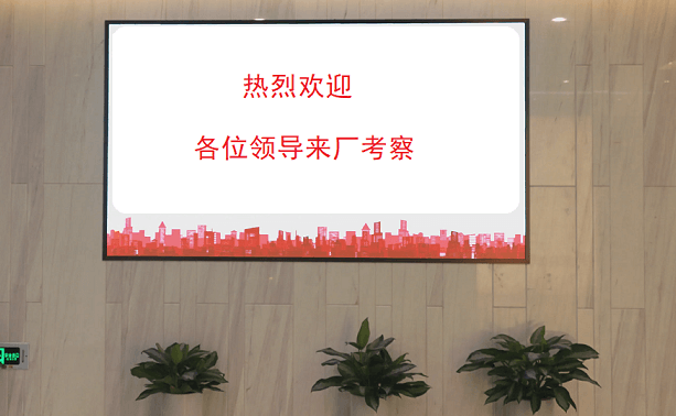 歡迎日本企業(yè)代表就合作項(xiàng)目來我司展開深度交流